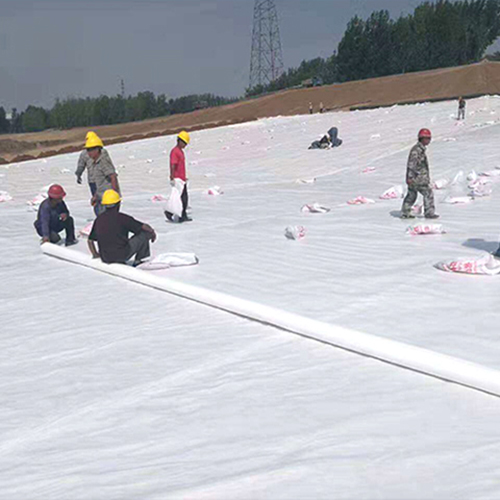 開（kāi）創雲全域建站