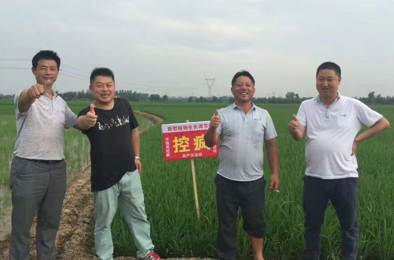 公（gōng）安縣控瘋使用效果交流會(圖（tú）5)