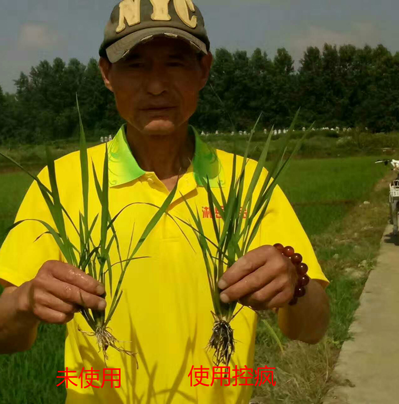 公安縣控瘋使用效果（guǒ）交流會(圖4)