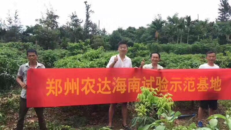 鄭州色多多www视频在线观看生化高山青海南VIP客戶答謝（xiè）會(圖3)