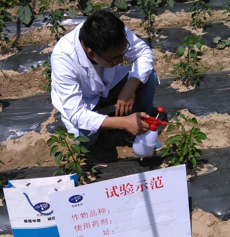 4%赤黴酸乳油在辣椒上的藥效（xiào）試驗(圖1)