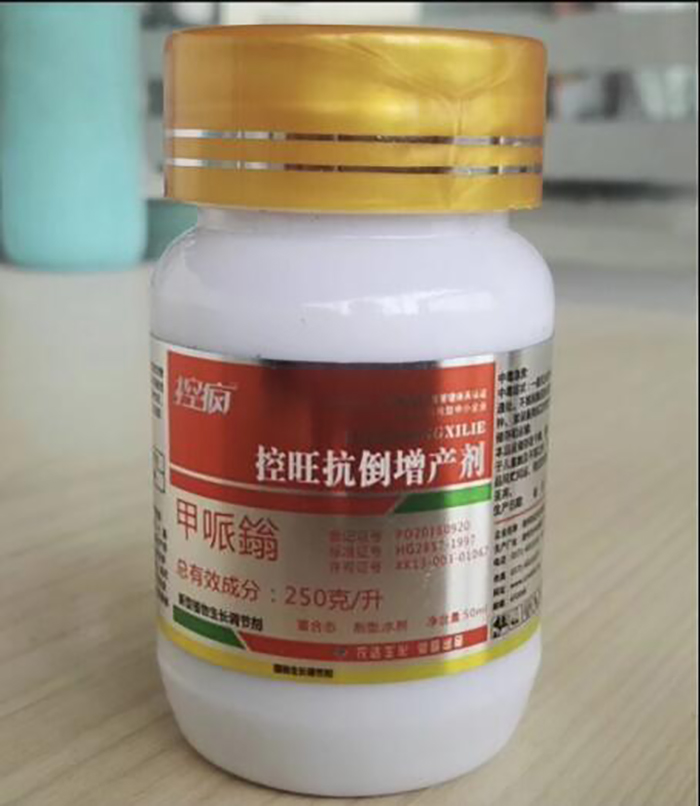 淺談控瘋在棉花上的表現（xiàn）及棉花化控技術要點(圖4)