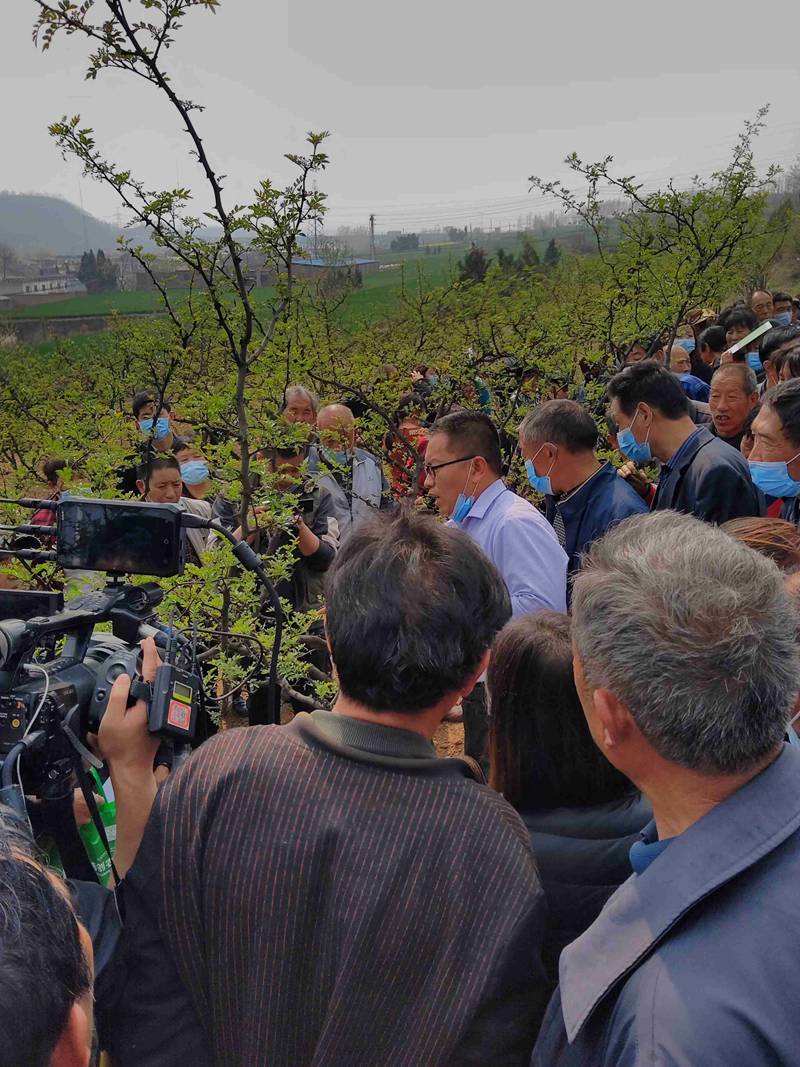 我公司（sī）參加澠池縣花椒春季管理與病蟲害防治技術培（péi）訓會(圖2)