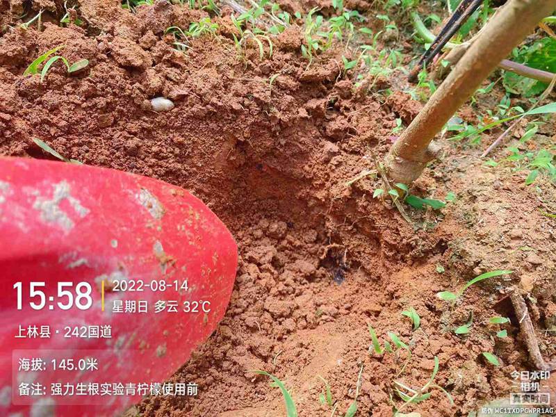 色多多www视频在线观看生（shēng）根產品試驗(圖2)