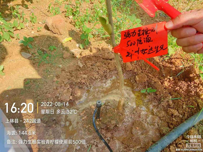 色多多www视频在线观看生（shēng）根產品試驗（yàn）(圖（tú）3)