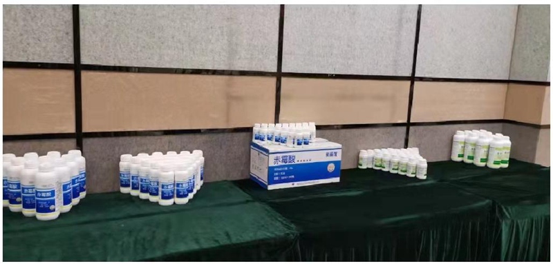 鄭州色多多www视频在线观看生化桂林市場啟動會圓滿召開(圖3)