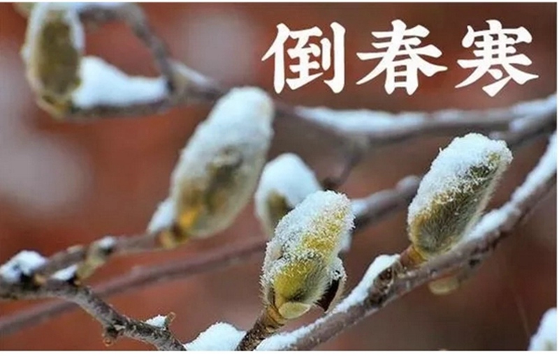 倒春寒來（lái）了！(圖1)