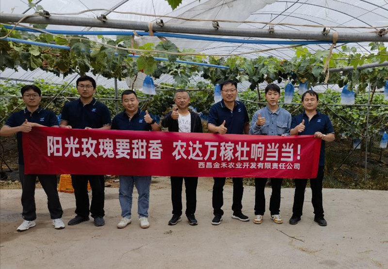 色多多www视频在线观看製劑部西昌宣傳拉練圓滿成功(圖1)