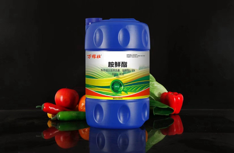色多多www视频在线观看製（zhì）劑部西昌宣傳拉練圓滿成功(圖2)