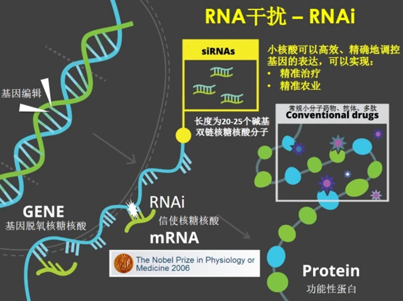 RNA生物農藥商業化（huà）及發展趨（qū）勢(圖1)