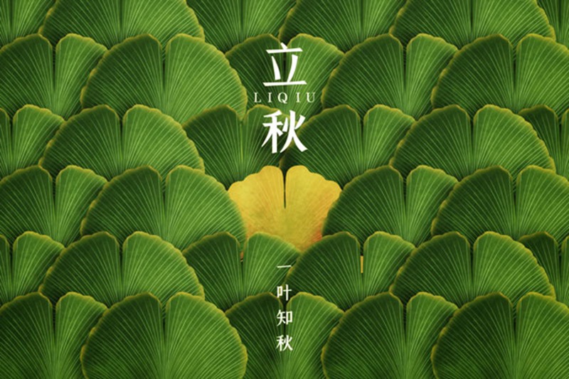 今日立秋(圖2) 今(jīn)日立秋(圖2)