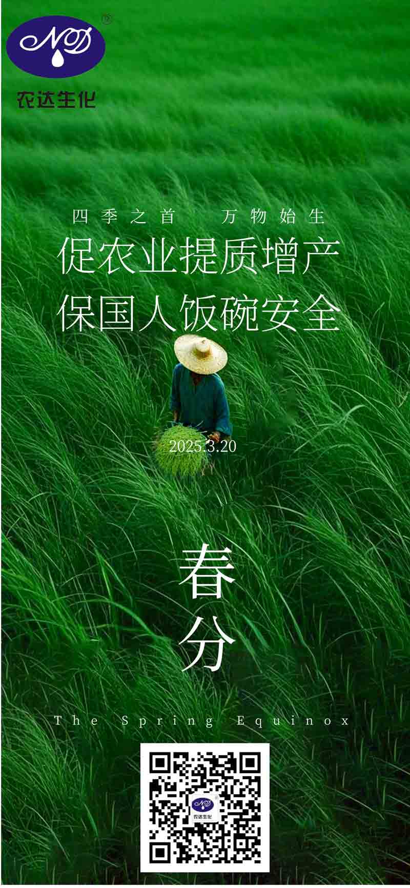 今日春分（fèn）(圖1)