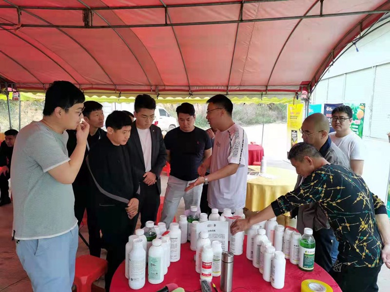 恭賀（hè）色多多www视频在线观看生化廣西靚（liàng）啟綠豐農資公司產（chǎn）品直銷會勝利召（zhào）開(圖1)