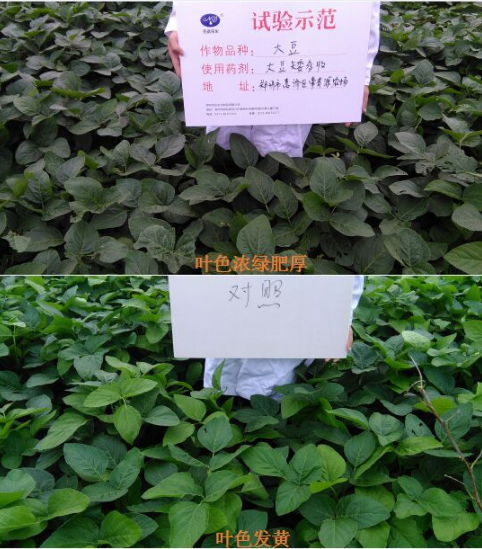換個思路賣（mài）農資，效果也不差！(圖1)