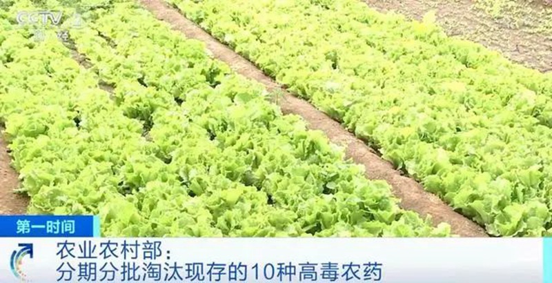 農業農村部(bù):3年內淘汰這10種高毒農藥, 重點治理豇豆、韭菜、芹菜農殘超標(圖1) 農(nóng)業農村部(bù):3年內淘(táo)汰這10種高毒農藥, 重(chóng)點治理豇豆、韭(jiǔ)菜、芹菜農殘超標(圖1)