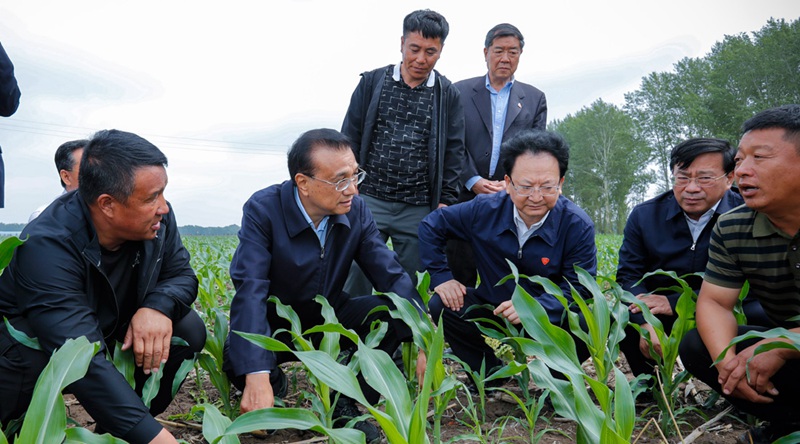 重磅！農（nóng）資（zī）上漲不要怕，補貼來了！(圖1)