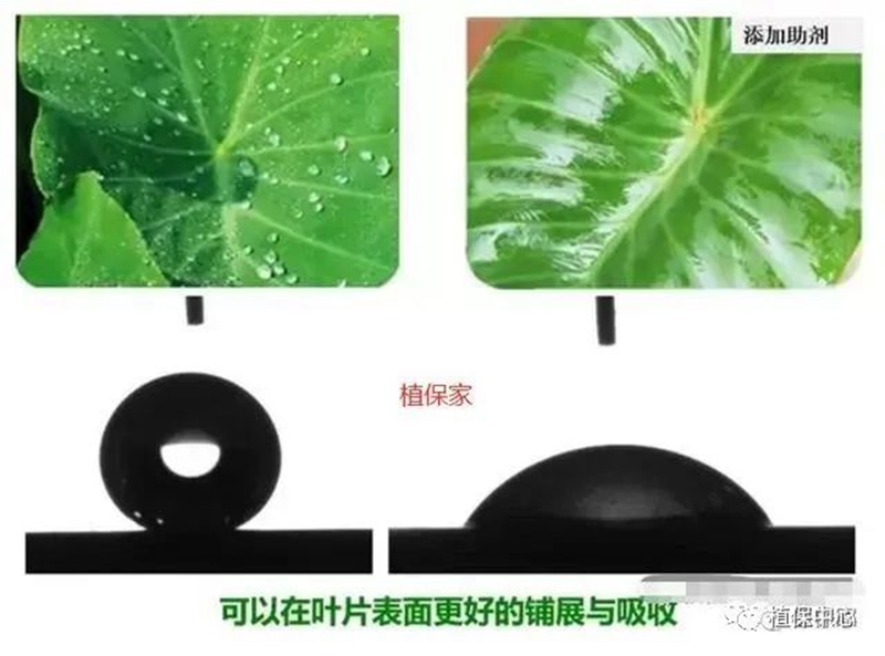 農（nóng）藥成分（fèn）和（hé）含量（liàng）一模一樣（yàng），為啥效果差別那麽大？(圖2)